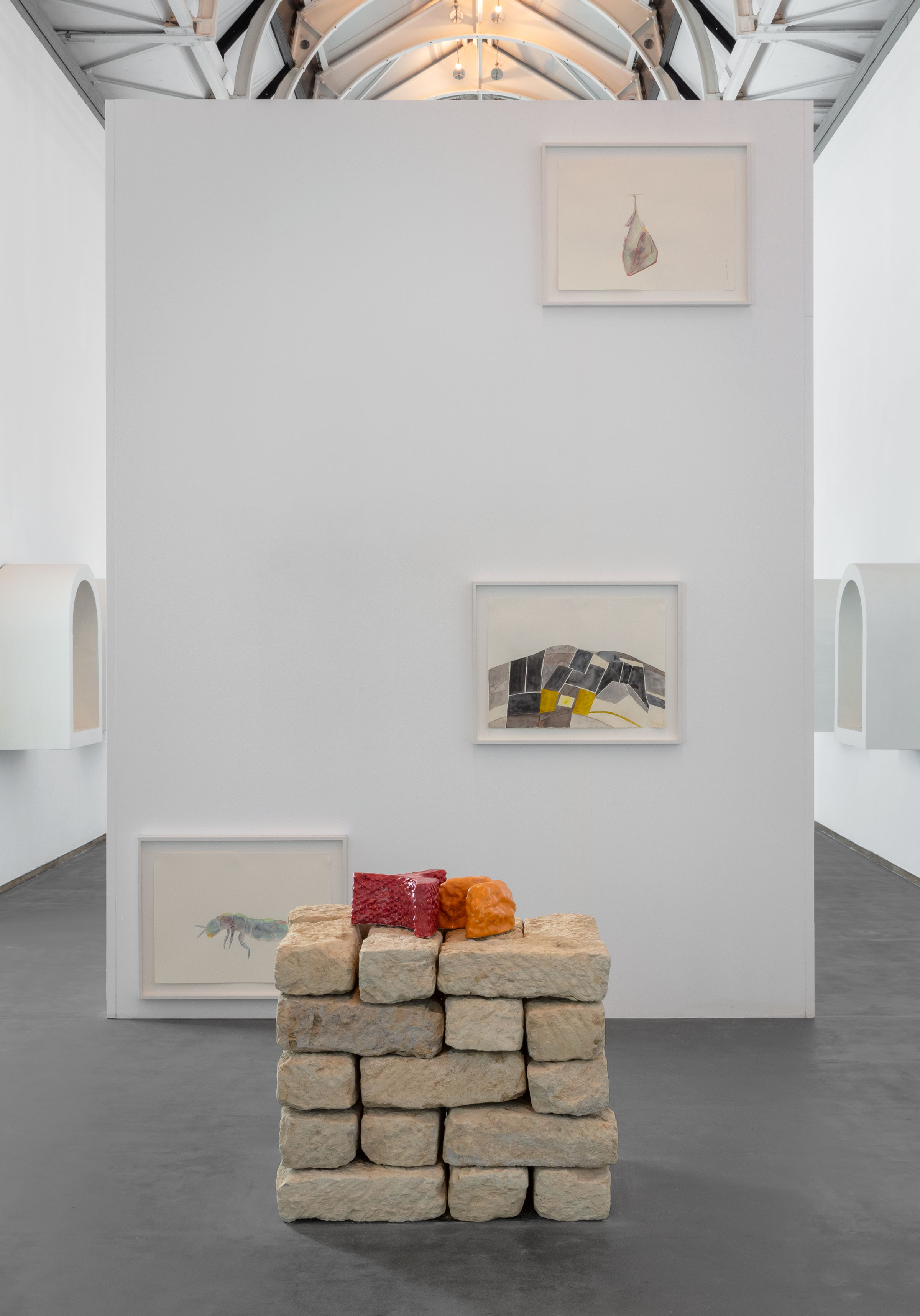 Maria Thereza Alves, installation view